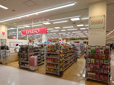 ザ・ダイソー アピタ大和郡山店